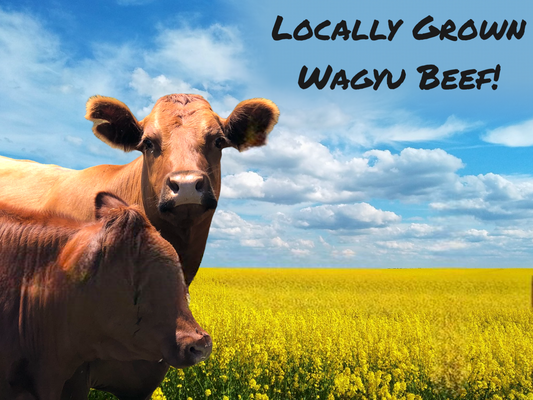 What is Wagyu Beef?