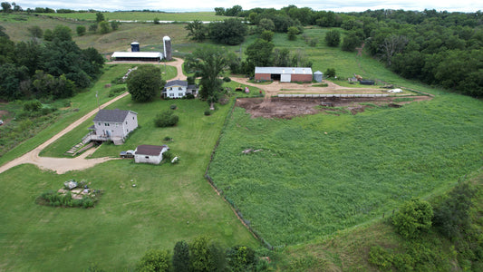 No more milking as Japanese beef cattle provide alternative for Dane County farm