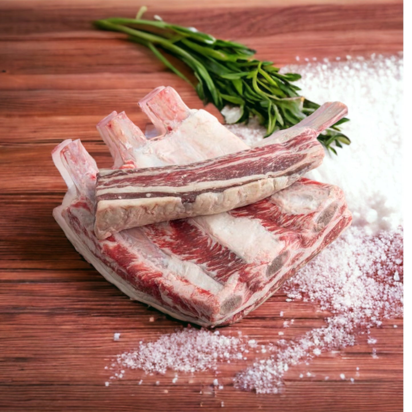 Dino Rib