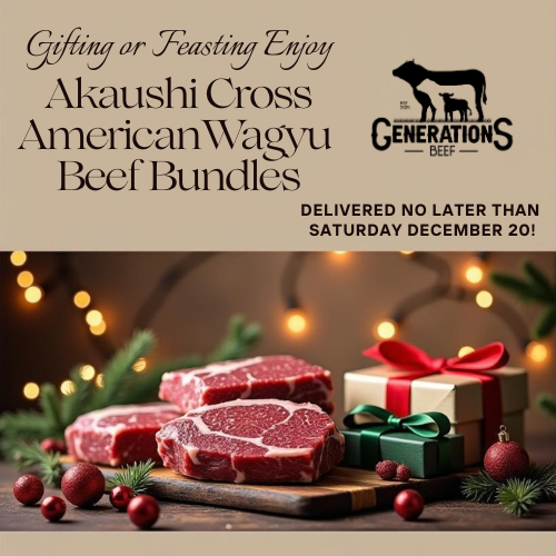 Holiday Boxes and Bundles