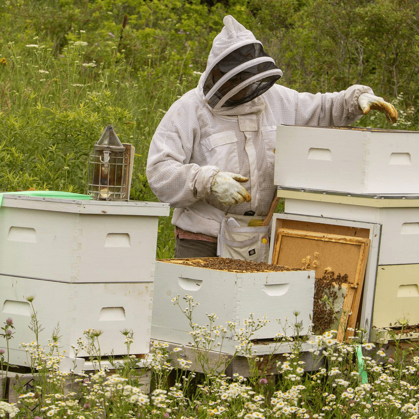 Pure Raw Wisconsin Honey | Local, Unprocessed & Delicious